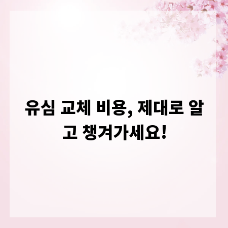 유심 교체 비용, 제대로 알고 챙겨가세요!