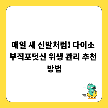 매일 새 신발처럼! 다이소 부직포덧신 위생 관리 추천 방법