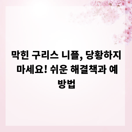 막힌 구리스 니플, 당황하지 마세요! 쉬운 해결책과 예방법