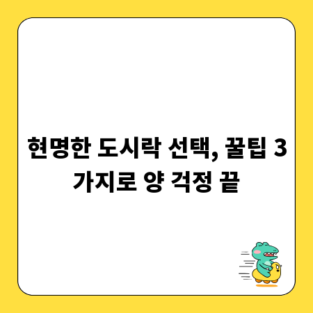 현명한 도시락 선택, 꿀팁 3가지로 양 걱정 끝