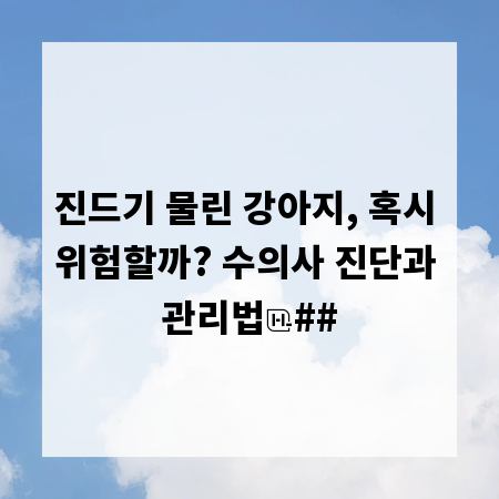 진드기 물린 강아지, 혹시 위험할까? 수의사 진단과 관리법
##
