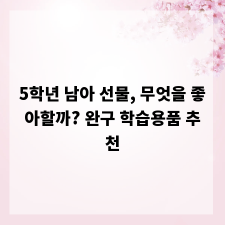 5학년 남아 선물, 무엇을 좋아할까? 완구 학습용품 추천