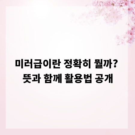 미러급이란 정확히 뭘까? 뜻과 함께 활용법 공개