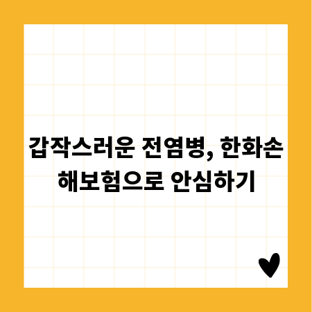 갑작스러운 전염병, 한화손해보험으로 안심하기