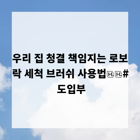 우리 집 청결 책임지는 로보락 세척 브러쉬 사용법
# 도입부