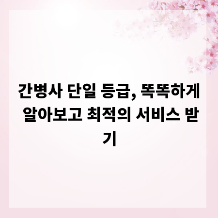 간병사 단일 등급, 똑똑하게 알아보고 최적의 서비스 받기